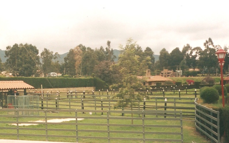 corral estabulado establos establo ganaderías engorde corrales cobertizos corralejas pesebreras para ganado manejo ganado corrales estabulados corraleja instalaciones modelo de establos 07 corral estabulado establos establo ganaderías engorde corrales cobertizos corralejas pesebreras para ganado manejo ganado corrales estabulados corraleja corral estabulado establos establo ganaderías engorde corrales cobertizos corralejas pesebreras para ganado manejo ganado corrales estabulados corraleja instalaciones modelo de establos 07 instalaciones modelo de establos 07